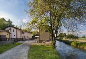 RoccafrancaOstello Molino Di Basso的河边道路上的树