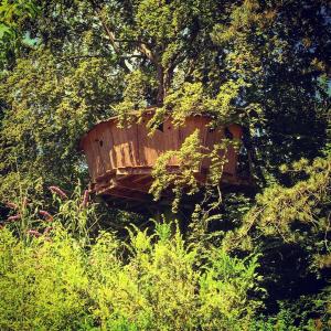 WailLe Domaine de Wail - Legends Resort的木船坐在森林中间