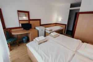 塞格德蒂萨体育酒店的一间卧室配有一张床、一张书桌和一台电视