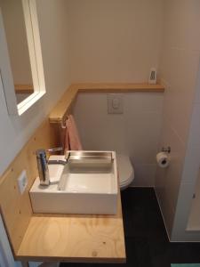 斯哈伦代克Finca Vrij的一间带水槽和卫生间的浴室