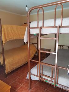 苏克雷Hostel Buen descanso的宿舍间内的双层床间