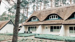 卡尔斯哈根100 Sekunden zum Strand: Schöne Wohnung auf Usedom的一座有 ⁇ 的屋顶和一棵树的房子