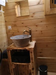 TourvesLa cabane des Pachous的木墙上带水槽的浴室