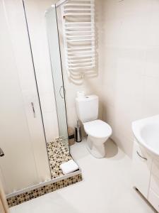 切尔诺夫策Apartments My London的带淋浴和卫生间的白色浴室