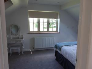 切斯特菲尔德Kneese Loft的一间卧室配有一张床、镜子和窗户