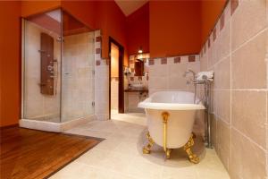 比亚纳Palacio de Pujadas by MIJ的带浴缸、淋浴和盥洗盆的浴室