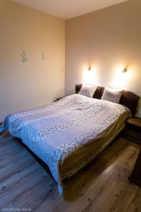 久洛格勒尼巴拉兹斯扎罗公寓的一间卧室,卧室内配有一张大床
