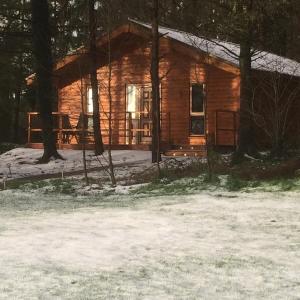 利默里克Butterfly cabin的小木屋前面有雪