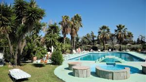 帕拉代西翁罗德阳光酒店 的棕榈树游泳池及度假村