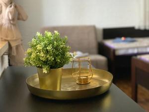 克罗诺维察Apartments Kristina的一张桌子,上面有蜡烛和花瓶
