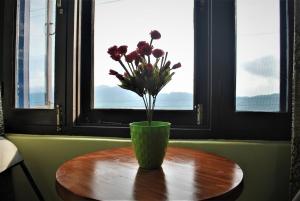 比尔瓦BillingVista Guest House Bir的窗前桌子上花的花瓶