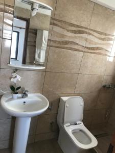 科斯镇尼塔萨酒店的一间带水槽、卫生间和镜子的浴室