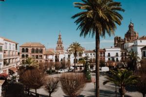 卡莫纳LA COVACHA DEL PINTOR的享有棕榈树和建筑的城市美景