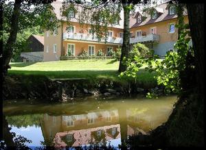多瑙斯陶夫Landgasthof-Hotel Hammermühle的前面有池塘的大房子