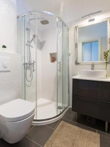 波雷奇Bella Vista Premium Apartment的带淋浴、卫生间和盥洗盆的浴室