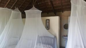 Pakwach EastHeritage Safari Lodge的卧室配有白色的床帘