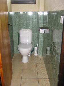 拉穆拉CHALET LES EPILOBES的一间带卫生间和玻璃淋浴间的浴室