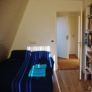 埃丹伊丹住宿加早餐酒店的一间卧室配有一张带蓝色枕头的床和书架
