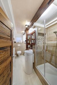 格平根Appartamenti Quattro Ducati的带淋浴、卫生间和盥洗盆的浴室