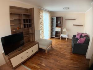 巴德加斯坦Appartementhaus Riepler的客厅配有平面电视和沙发。
