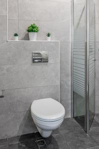 内坦亚City center family relax apartment的浴室设有卫生间和植物淋浴。