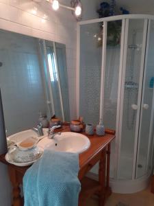 拉加里格La Bergerie的一间带水槽和淋浴的浴室