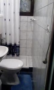 斯维蒂尤拉伊Apartment Drago的一间带卫生间和淋浴的小浴室