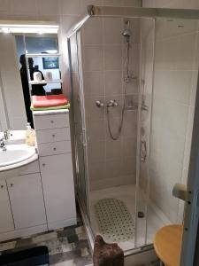 LauchaApartment Regina的带淋浴和盥洗盆的浴室