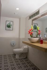 卡利Hotel Avanti Chipichape的一间带卫生间、水槽和镜子的浴室