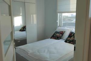 比亚瓦波德拉斯卡Apartament Soft 16的小房间设有床和镜子