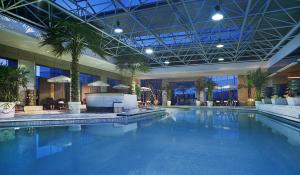 西安西安豪华美居人民大厦的一座棕榈树大型游泳池