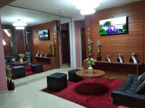 齐克拉约Tamaris Hotel的客厅配有沙发和墙上的电视