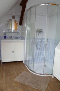 SallgastAuszeit-Landleben Domizil的设有带镜子和水槽的淋浴的浴室