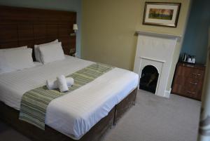 拉夫堡阔恩农庄酒店的一间卧室设有一张大床和壁炉
