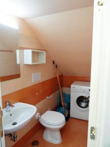 蓬扎Cavadozza的浴室配有卫生间水槽和洗衣机。