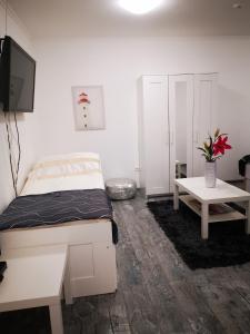 莫悠罗德Luxury Basement in the surrounding of Budapest的一间卧室配有一张床、一台电视和一张桌子