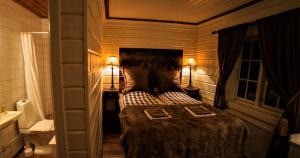 塔恩达勒Skarvruets Högfjällshotell的一间卧室配有一张床、两盏灯和一个水槽。
