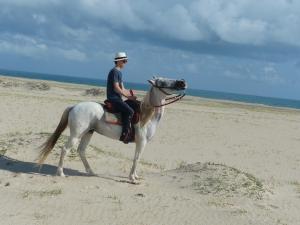 帕拉茹鲁Refugios Parajuru - Villa Alegre的骑马在海滩上的人