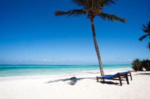 平圭卡拉夫海滩度假&Spa酒店的海滩上的长凳和棕榈树