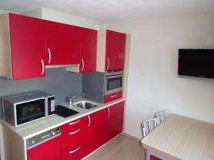勒利然BIENVENUE AU LIORAN的一间带红色橱柜和水槽的厨房