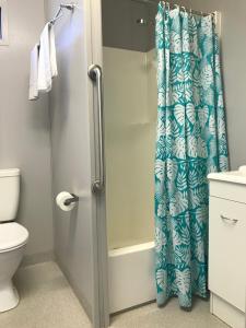 BiloelaLake Callide Retreat的带淋浴帘和卫生间的浴室