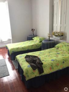 卡韦松·德·拉·萨尔Cantabria的带三张床和绿色床单的客房