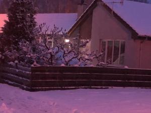 阿维莫尔Linmore的雪中有一棵树和栅栏的房子