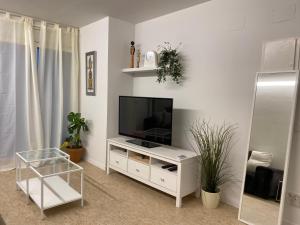班约莱斯JASALPI único apartamento delante del Lago de Banyoles的一间客厅,客厅的白色橱柜上配有电视