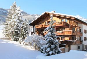 莱尔莫斯Chalet Tannenhof的雪中树下的小木屋