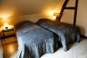 Leuze-en-HainautGîte rural Les petites têtes的一间卧室配有两张单人床。