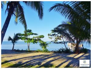 利文斯顿Livingston Resort Hotel的两棵棕榈树和大海的海滩