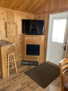 圣丹斯比尔洛奇山度假村的小屋内带壁炉和电视的房间