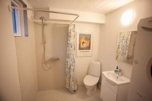 托尔斯港Tórshavn Apartment - In The Center的带淋浴、卫生间和盥洗盆的浴室