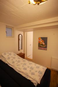 托尔斯港Tórshavn Apartment - In The Center的一间卧室设有一张床和一个窗口